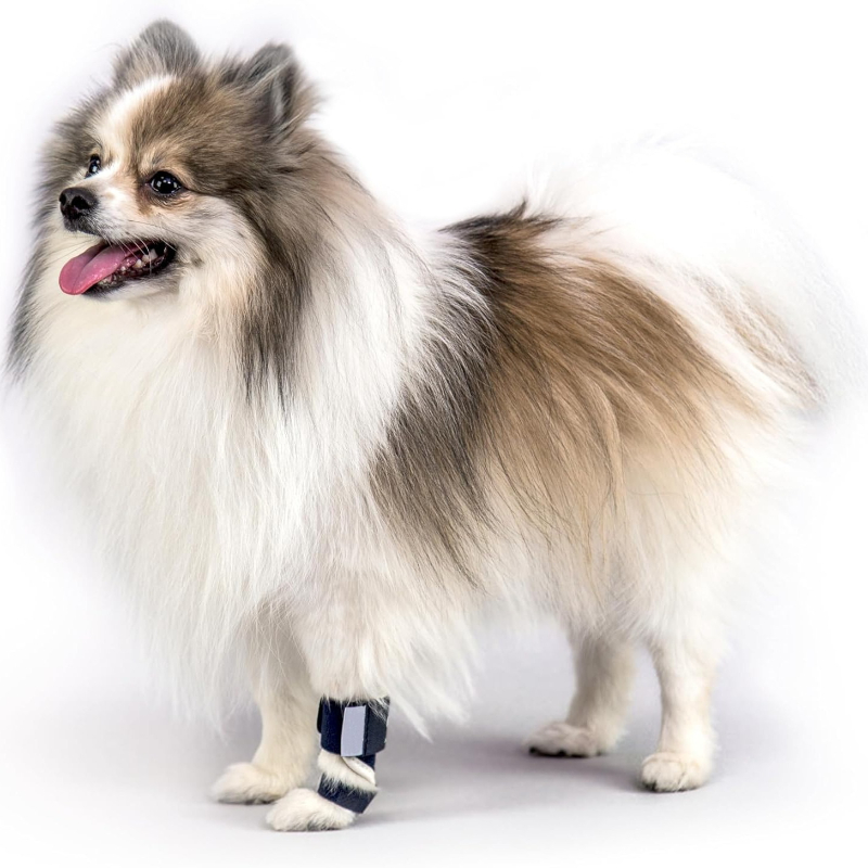 Carpal Hyperextension Dog Brac - Ankle Mobility Band avis et prix